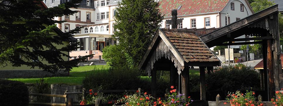 Le Grand Hotel Du Hohwald By Popinns Exterior foto